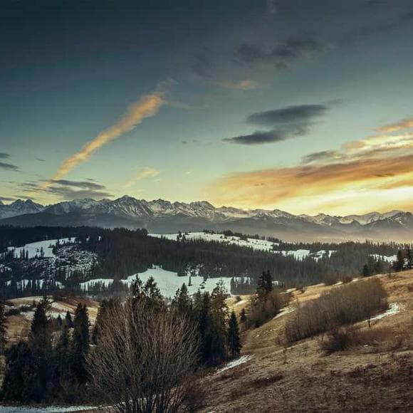 rajneesh Quotes Reducing,Human Condition,Dependent