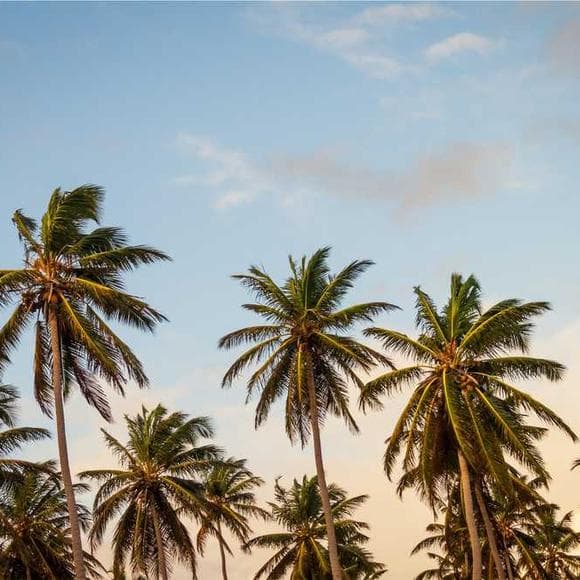 francois duvalier Quotes Security,Caribbean,Communism