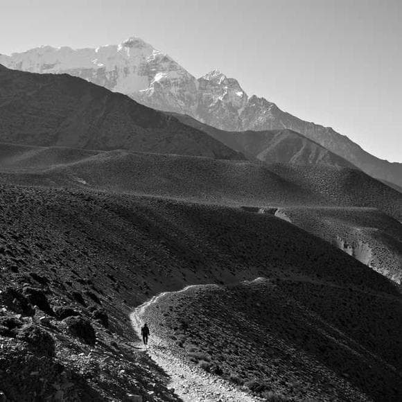 tarthang tulku Quotes Energy,Caring,Positive Energy