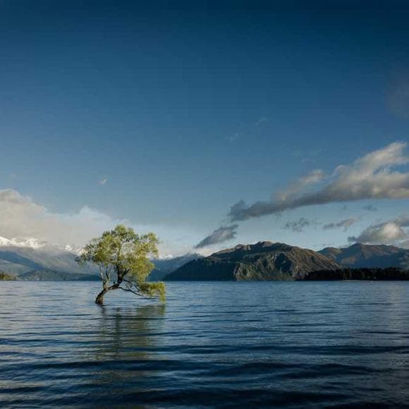 ashley scott Quotes Grew Up,Louisiana,Thunderstorm