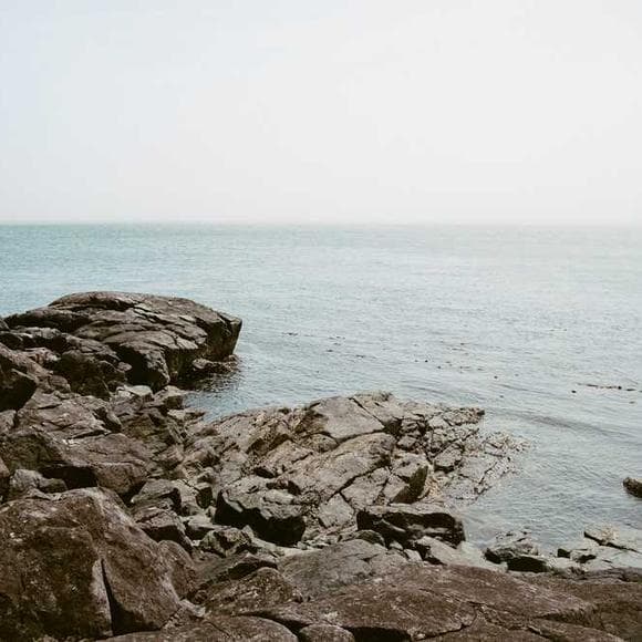 bram stoker Quotes I Hate You,Sea,Longing