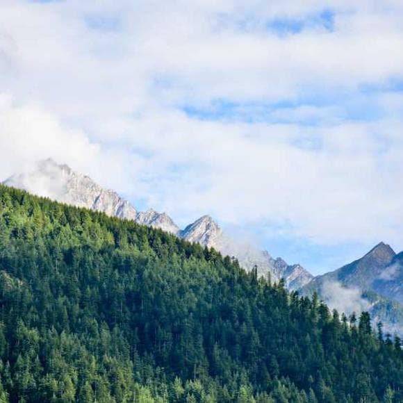 jonathan safran foer Quotes Global Warming,Illegal,Rational