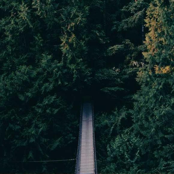 errol morris Quotes Listening,Facts,Tales