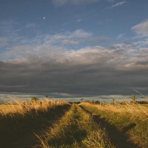wendell berry Quotes Transformation,Celebration,Garden