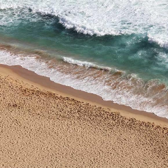 pema chodron Quotes Revenge,Essence,Fall