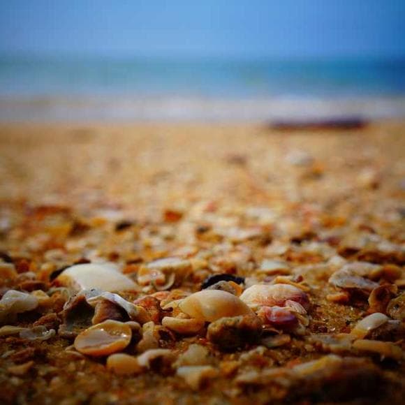 john c. maxwell Quotes Growth,Inevitable,Preparation