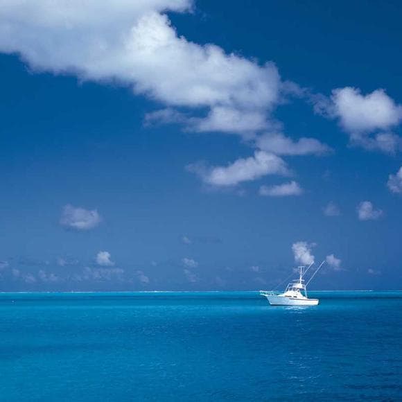 jacque fresco Quotes Changing The World,Reasonable,Unreasonable