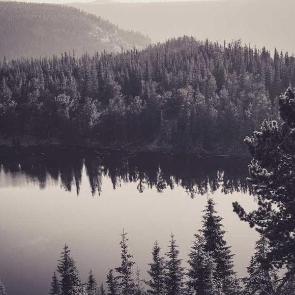 stendhal Quotes Character,Human Nature,Solitude