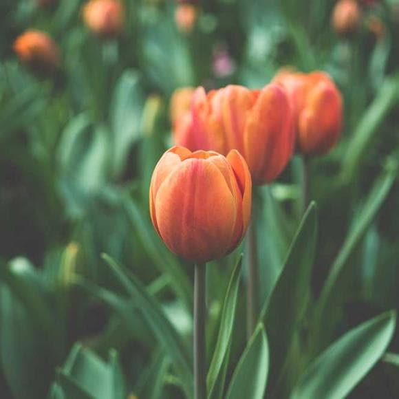 nathaniel branden Quotes Healthy,Significant,Characteristics