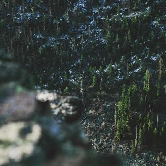 mark driscoll Quotes My Own,Hated,Charismatic