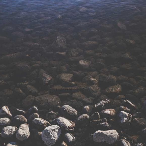 rachel carson Quotes Excitement,Children,Sense Of Wonder