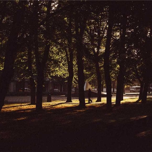 alexander pushkin Quotes Leafs,Chill,Naked