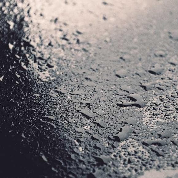 alain de botton Quotes Fallen,Tolerate,Human History