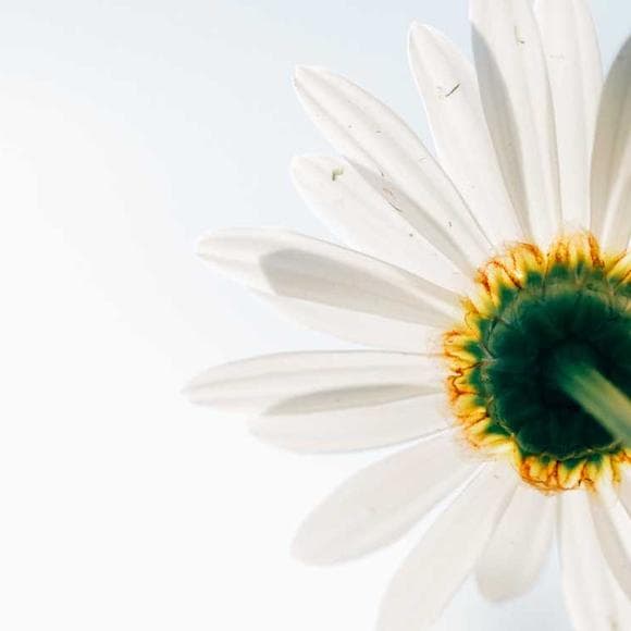 max lucado Quotes God,Christ