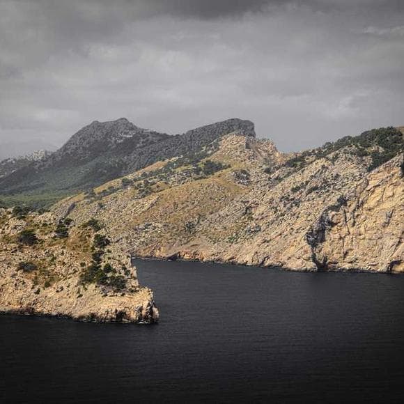jeffrey eugenides Quotes Suicide,Make Sense,Greek