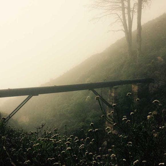 ian astbury Quotes Circus,Filled,Nonsense