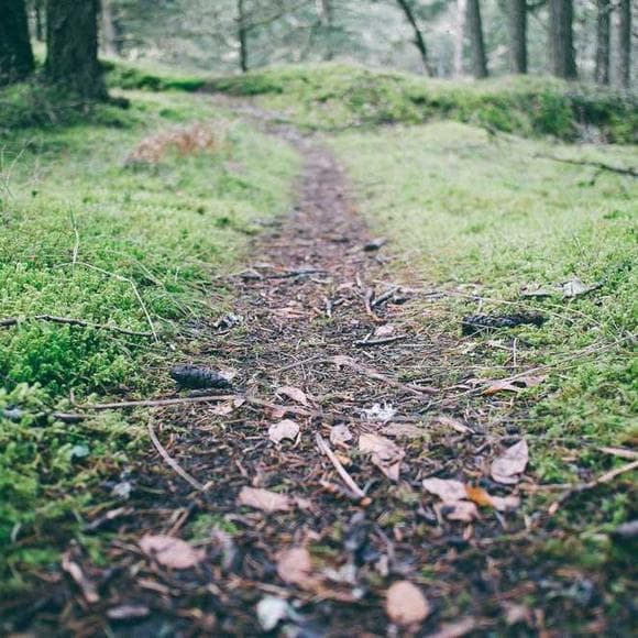 henry david thoreau Quotes Experience,Civilized,Wiser