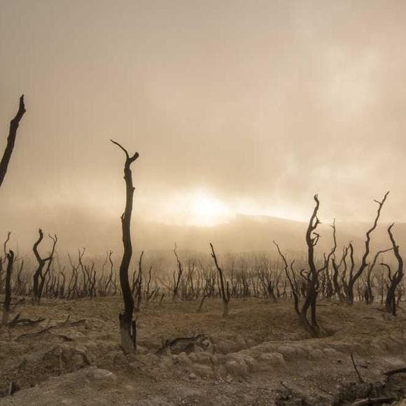 daniel botkin Quotes Climate Change,Environmental Change