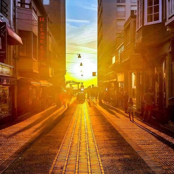 emile m. cioran Quotes Commit,No Reason To Live,Optimist