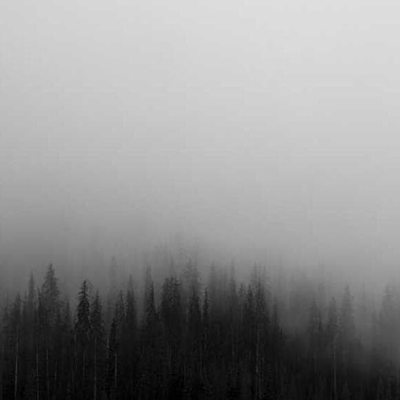 tatyana fazlalizadeh Quotes Treated,Entitled,Seeking