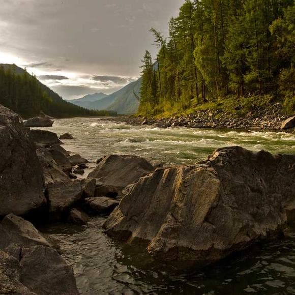 john ruskin Quotes Instant,Lowest,Feelings