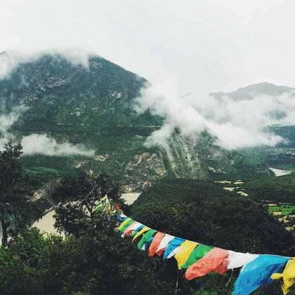 nhat hanh Quotes Insight,Compelled,Understanding And Compassion