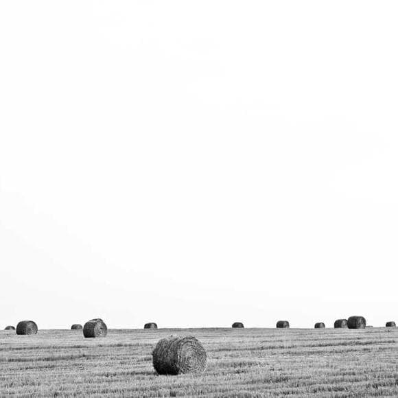 thomas sowell Quotes Complexity