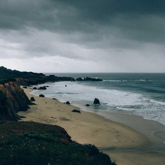 arna bontemps Quotes Jungle,Our Father,Rain