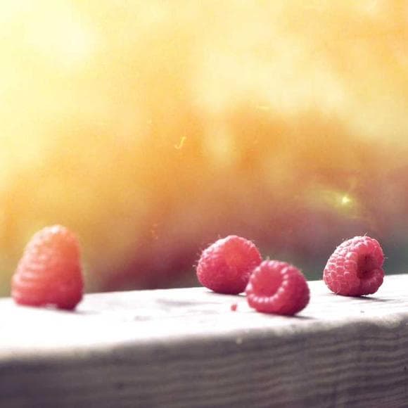 m. f. k. fisher Quotes Food,Connected,Eating Food