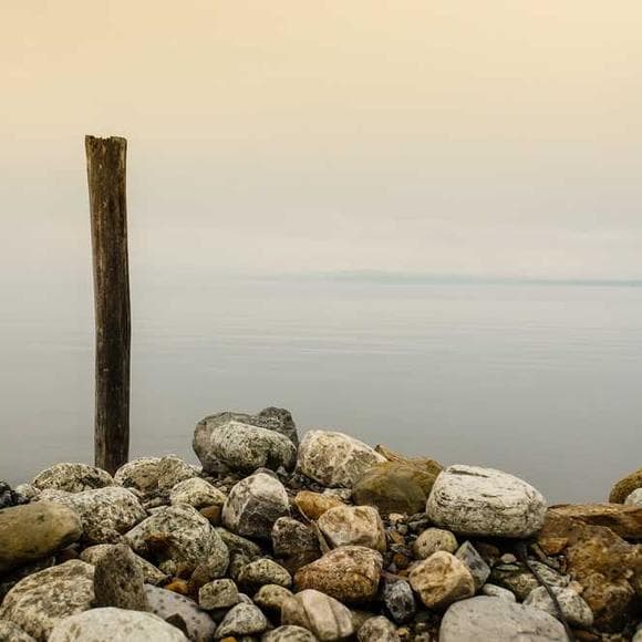 erica jong Quotes Connecting