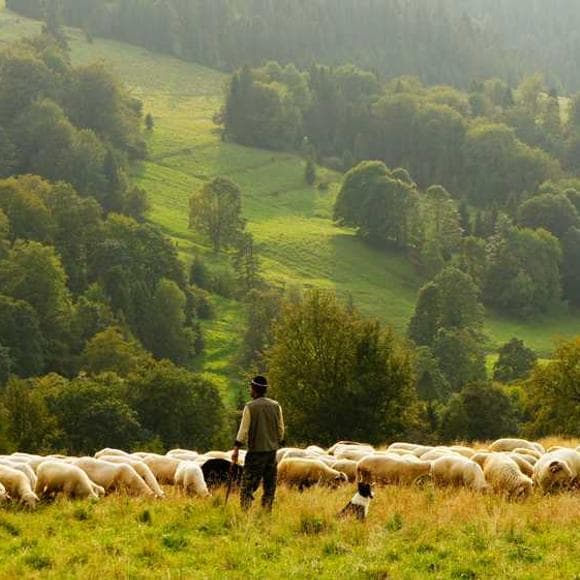 david r. brower Quotes League,Voters,Conservation