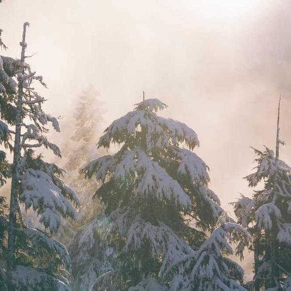 wendell berry Quotes Environmental,Sustainability,Consideration