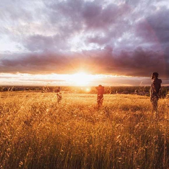annie dillard Quotes Wind,Energy,Weather