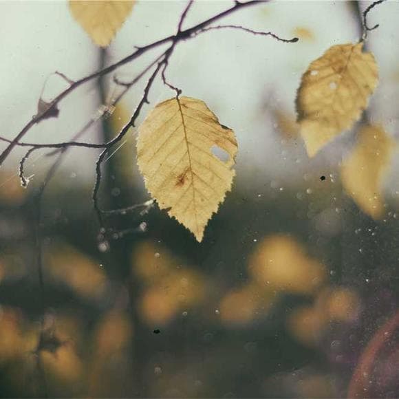 rainer maria rilke Quotes Existence,Copies,Glorious