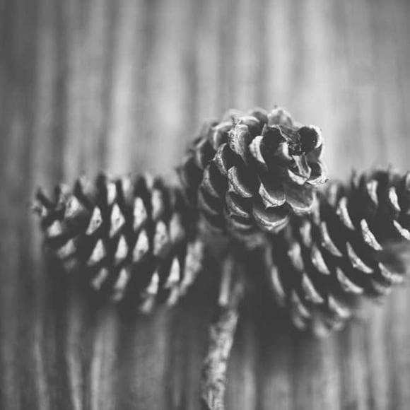 h. p. lovecraft Quotes Monstrous,Forbidden,Priests