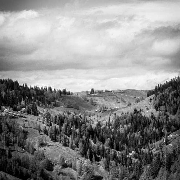 art wolfe Quotes Edges,Feds,Nature