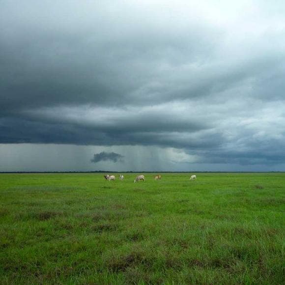 cormac mccarthy Quotes Places In The World,Cowboy