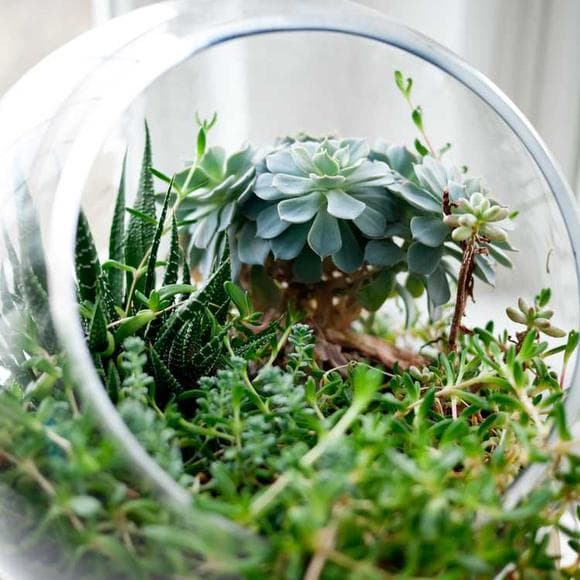 brené brown Quotes Creativity And Innovation,Innovation,Creativity