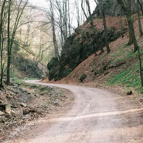 erich fromm Quotes Revive,Critical,Vision Of Life