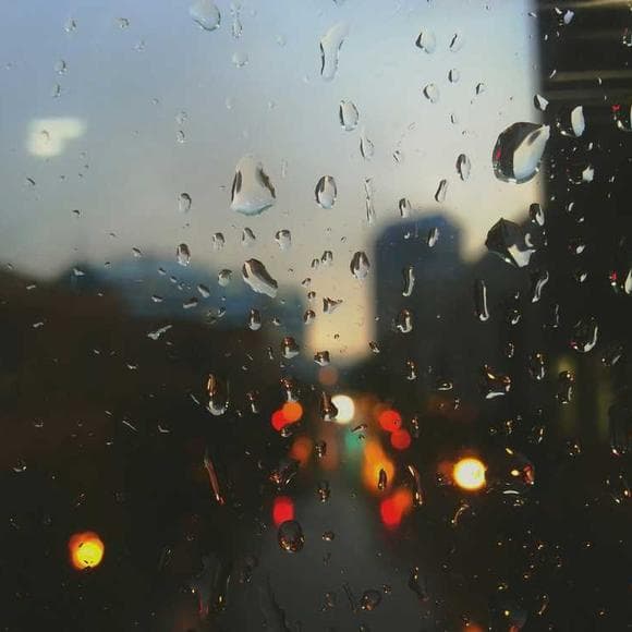 may sarton Quotes Cycles,Far Away,Impermanence