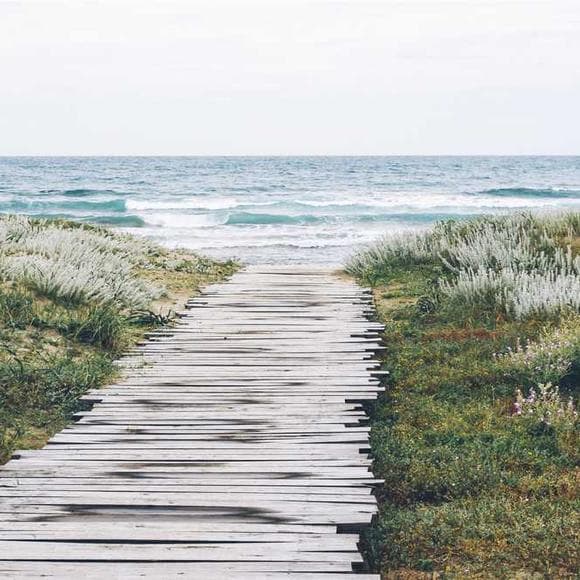 cassandra clare Quotes Pleasant,Pace,Naked