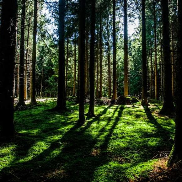 carlos castaneda Quotes Holding On,Versions,Description