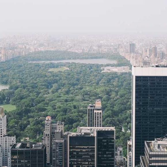 ansel elgort Quotes Our Future,Debt,Inner City