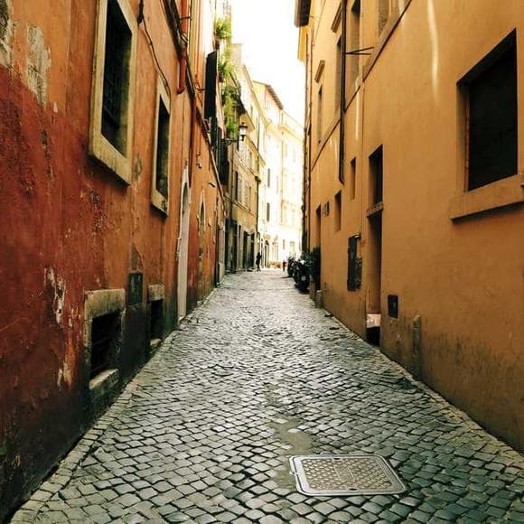 sharon salzberg Quotes Isolation,Loneliness,Deeper
