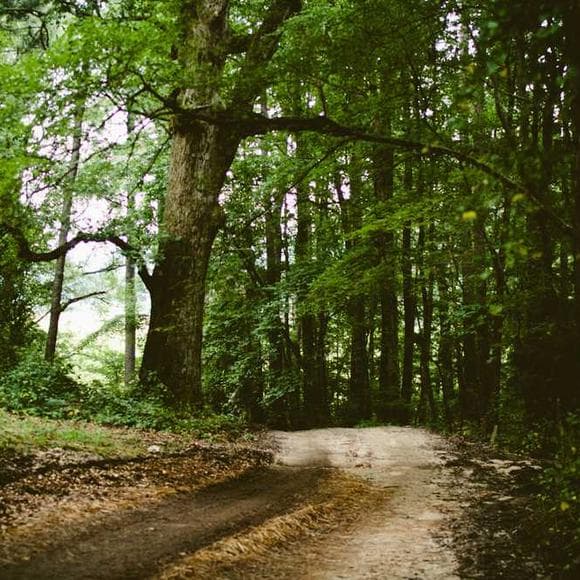 oswald chambers Quotes Men And Women,Loved Ones,Our Relationship