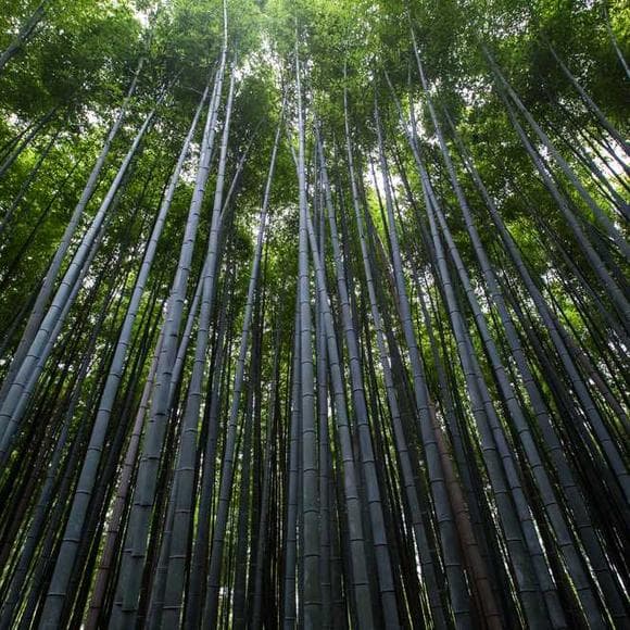 ken wilber Quotes Evolution,Depth,Embrace