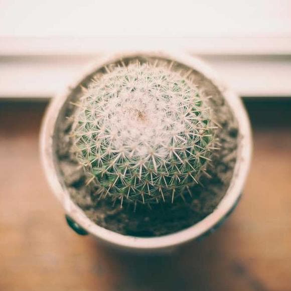 marissa meyer Quotes Desert,Tales,Gifted