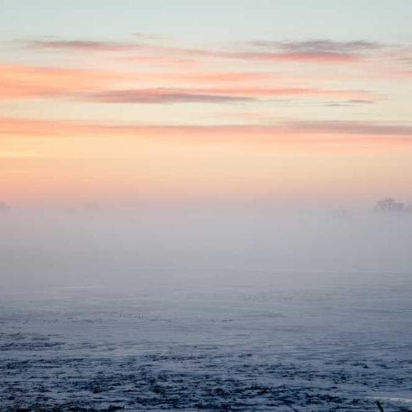 wislawa szymborska Quotes Duality,Different Points Of View,Point Of View