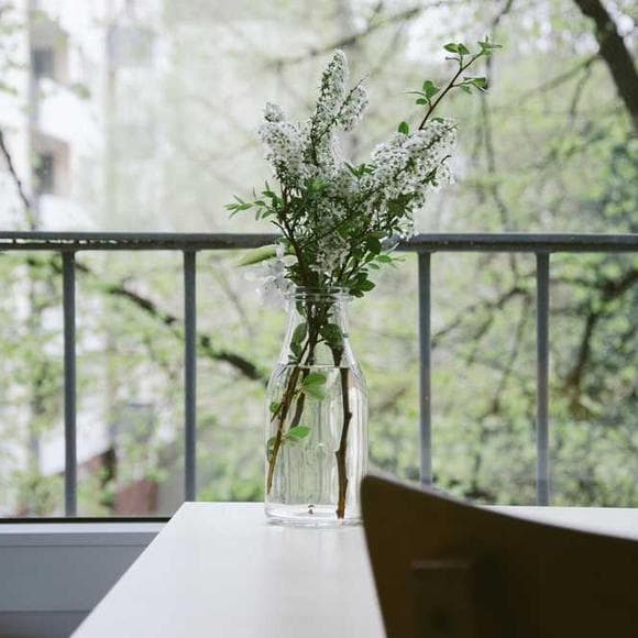 lewis carroll Quotes Unusual,Dining,Rooms