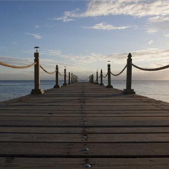 bill shorten Quotes Parliament,Parliamentary,Secretary